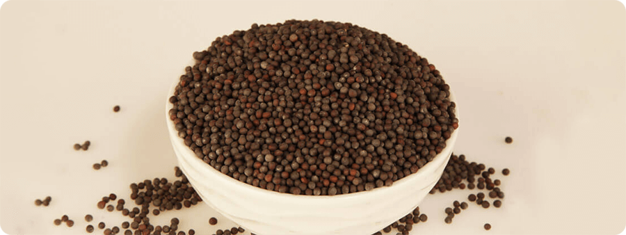 image of Mustard Bold