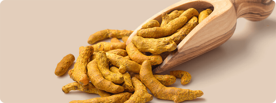 image of Turmeric